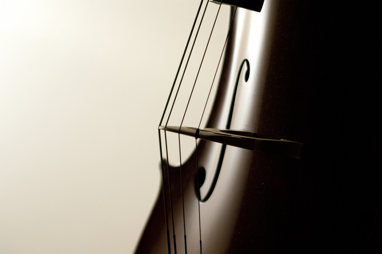 Warm-toned close-up of a cello — bridge, f-hole and strings against a soft cream background