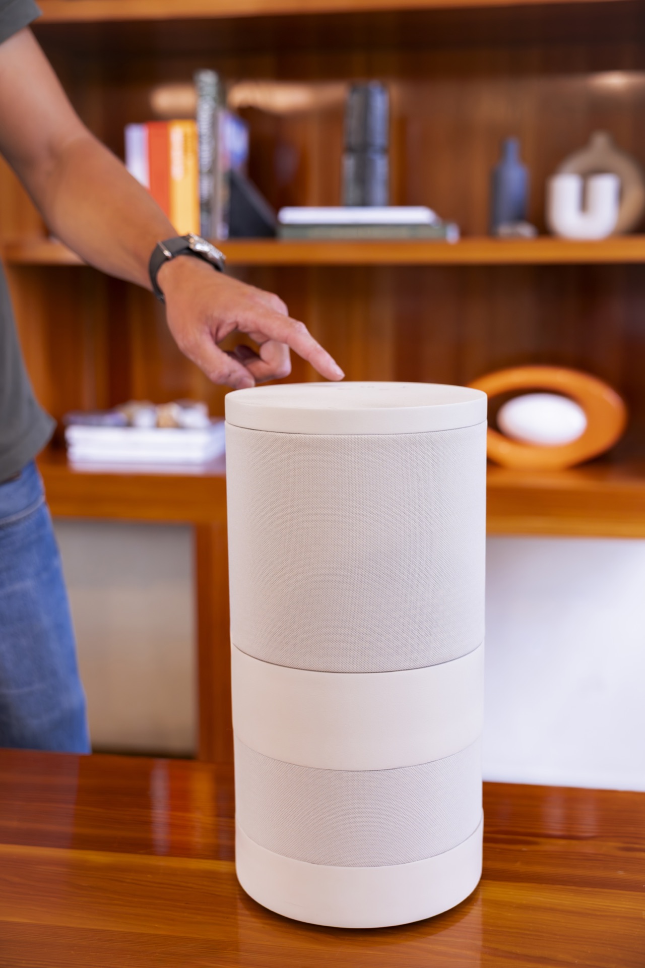 The Halo speaker at home